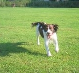 click for a larger view